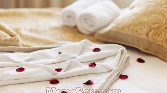 Hotel Dekat Balai Kota Solo yang Nyaman untuk Liburan dan Perjalanan Bisnis