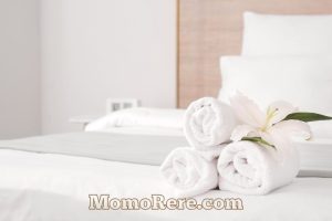 Hotel Dekat Benteng Vastenburg Solo untuk Liburan dan Perjalanan Nyaman