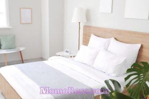 Hotel Flamboyan Solo Pilihan Nyaman dengan Lokasi Strategis di Kota Budaya