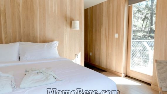 Hotel Neo Solo Penginapan Modern dengan Lokasi Strategis