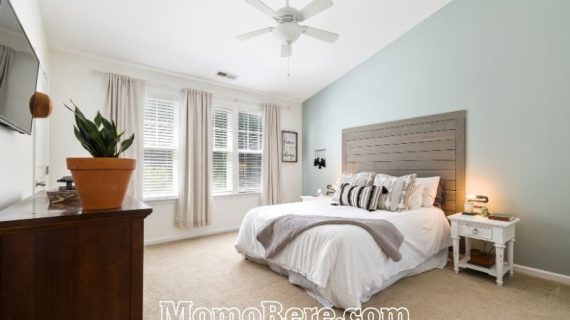 Menginap Nyaman di Hotel Pineapple Mansion Solo Bersama Momorere.com