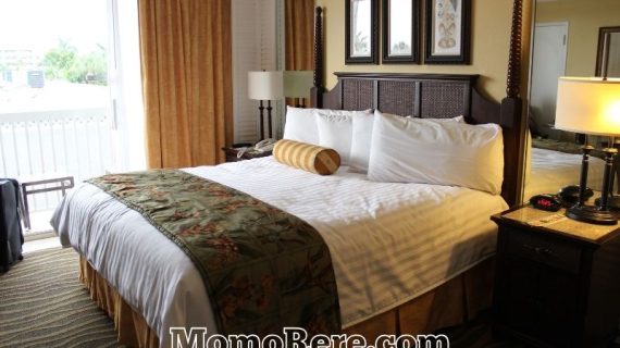 Rekomendasi Hotel Dekat Alana Solo untuk Liburan dan Perjalanan Bisnis