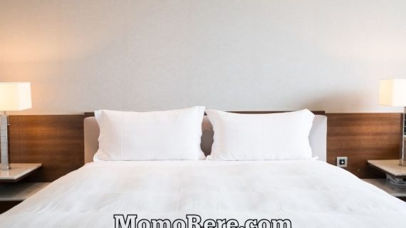 Rekomendasi Hotel Murah Area Solo dengan Fasilitas Nyaman untuk Liburan dan Bisnis