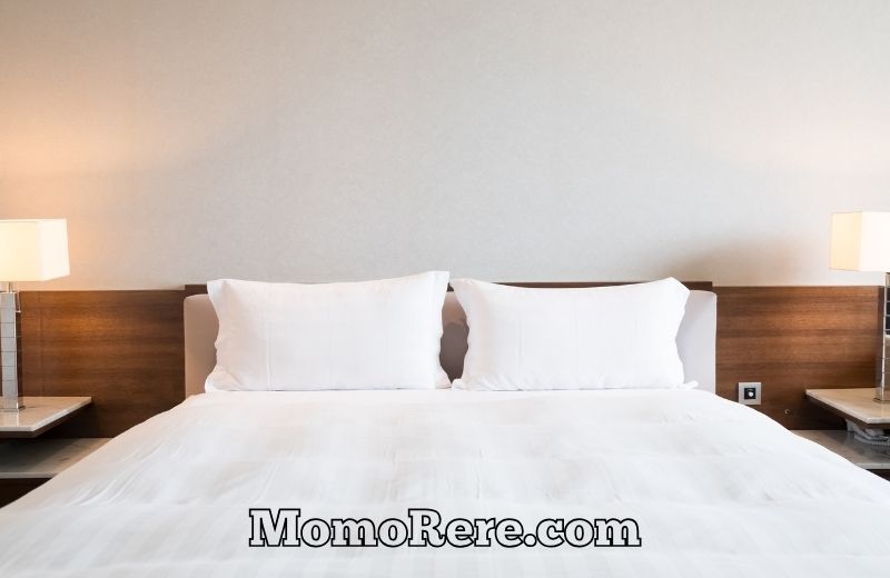 Rekomendasi Hotel Murah Area Solo dengan Fasilitas Nyaman untuk Liburan dan Bisnis
