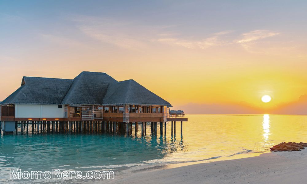 Menjelajahi Hotel Bimo Tanah Abang: Panduan Lengkap Akomodasi Strategis di Jantung Jakarta Pusat